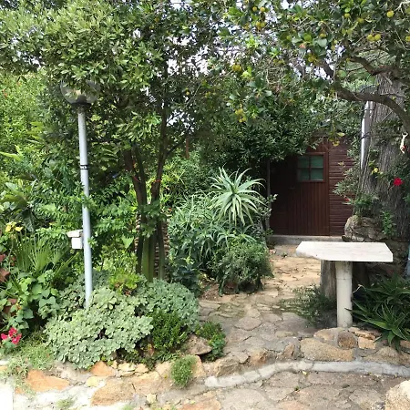 Minzoni קאלה ליברוטו